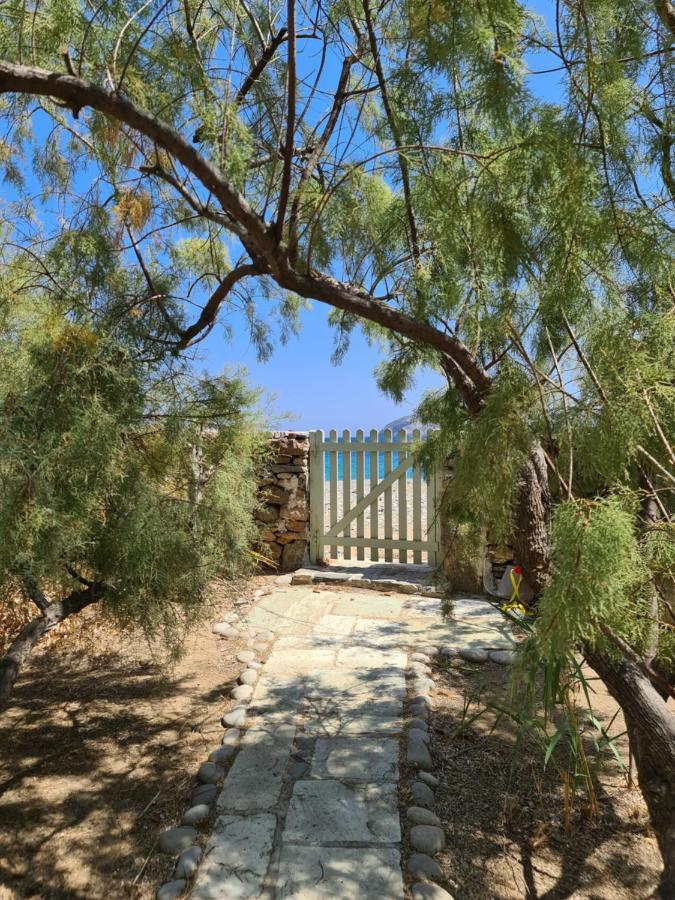Nature Eco Living Serifos Ливадион Экстерьер фото